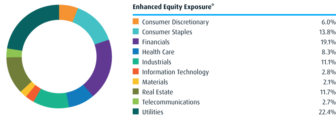 Enhanced Equity Exposure